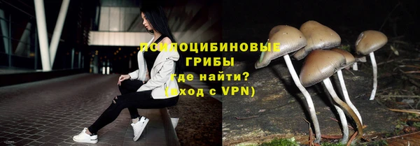 СК Киренск